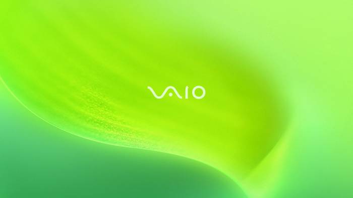Широкоформатные обои Vaio green, Зеленый бренд