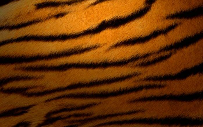 Широкоформатные обои Текстура тигра, Полосатая текстура шкуры тигра