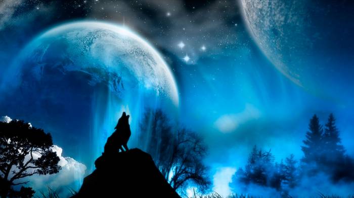 Широкоформатные обои Вой волка, Волк воет на Луну